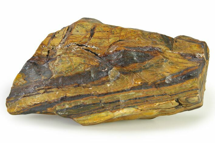 Banded Iron Formation Section - Billion Years #325789